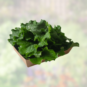 Fresh Organic Kale