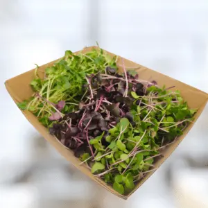 Sunflower Microgreens