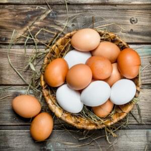 Free Range Eggs