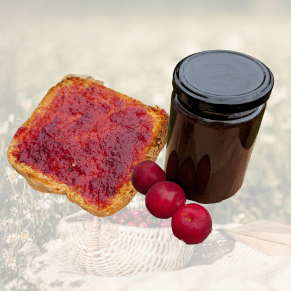 PurePlant Homemade Plum Jam 300ml - Image 2